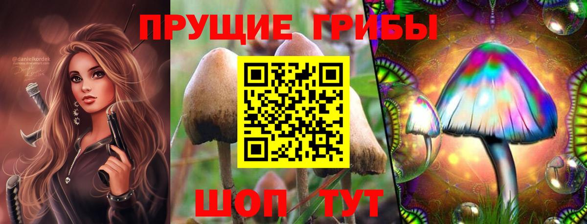 Ишимбай  Псилоцибиновые грибы Psilocybe  купить   Галлюциногенные грибы ЛСД  Вход с VPN 